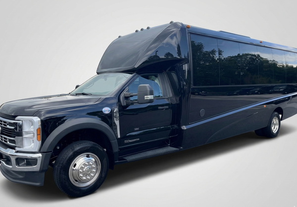 28-passenger luxury bus